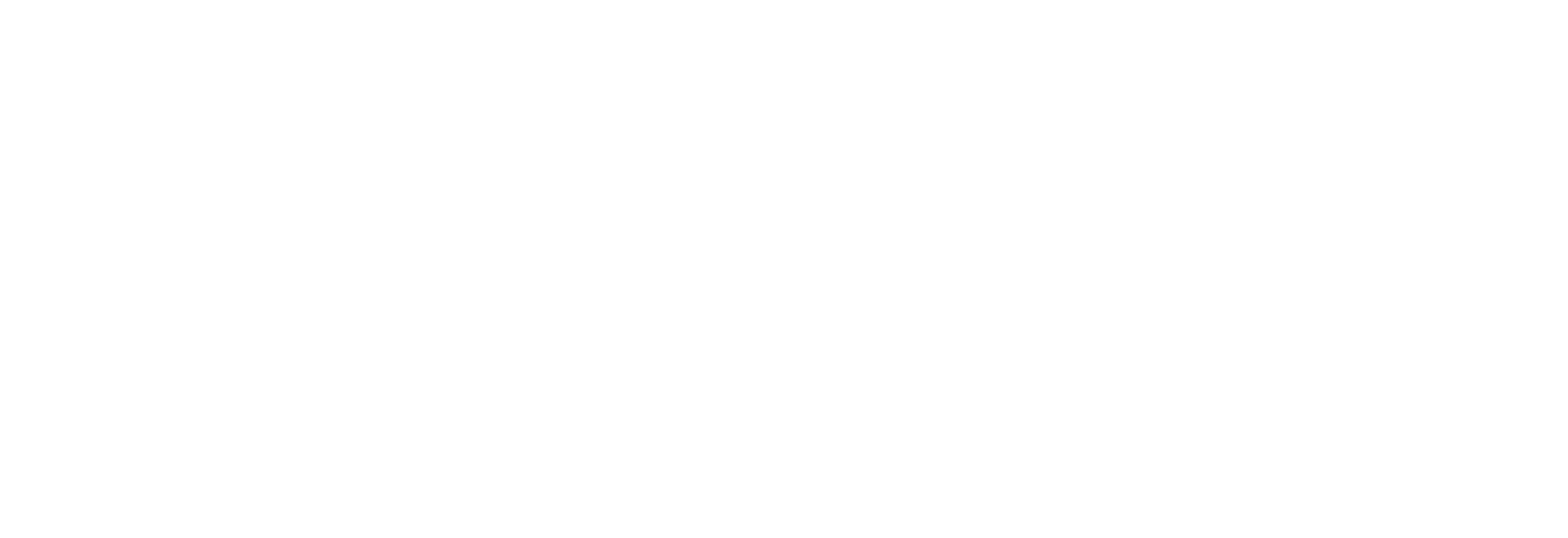 D4N73